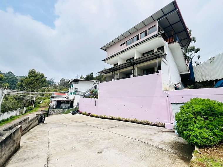 The driveway and parking area