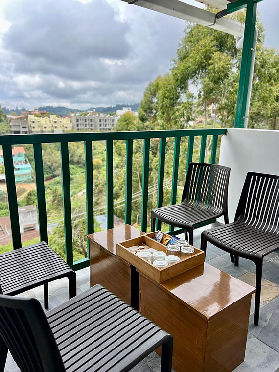 Luxury Room balcony with valley and town view